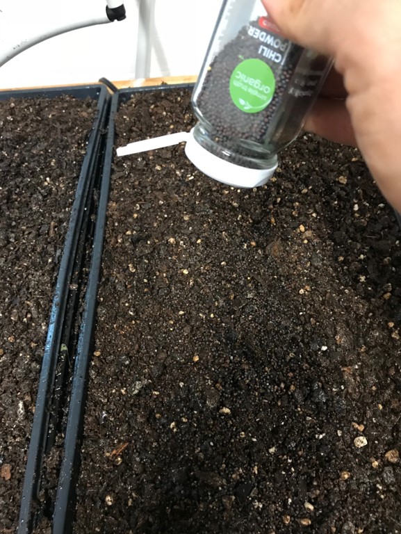 Step 4 - Sewing a microgreen grow tray